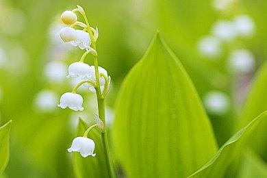 《合金弹头:战略版》再次宣布延期 2024年发售